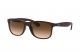 Ray Ban 0Rb420260731355 Andy Nylon Matte Brown Male Nb